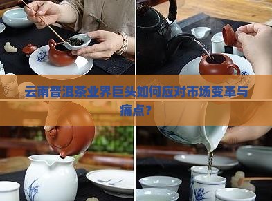 云南普洱茶业界巨头如何应对市场变革与痛点？
