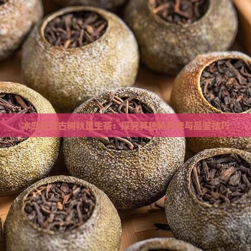 冰岛霸歪古树秋是生茶：探究其独特风味与品鉴技巧