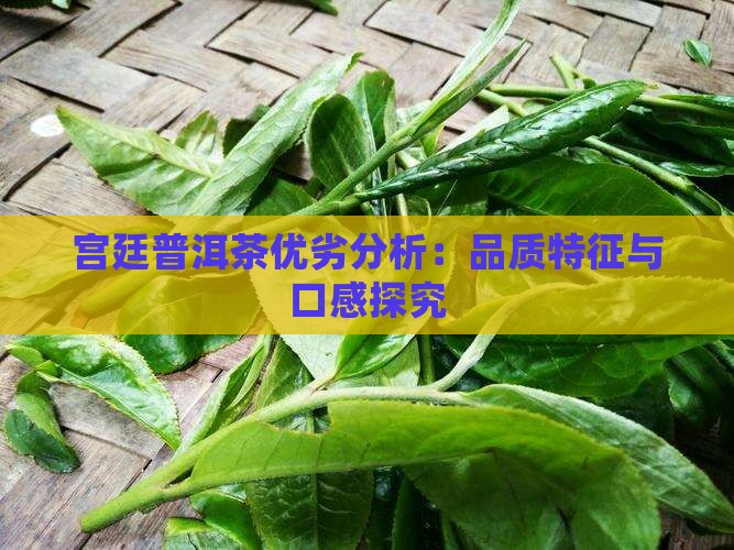 宫廷普洱茶优劣分析：品质特征与口感探究