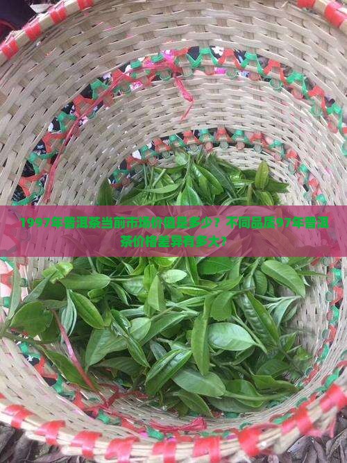 1997年普洱茶当前市场价值是多少？不同品质97年普洱茶价格差异有多大？