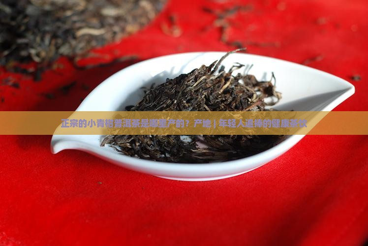 正宗的小青柑普洱茶是哪里产的？产地 | 年轻人追捧的健康茶饮