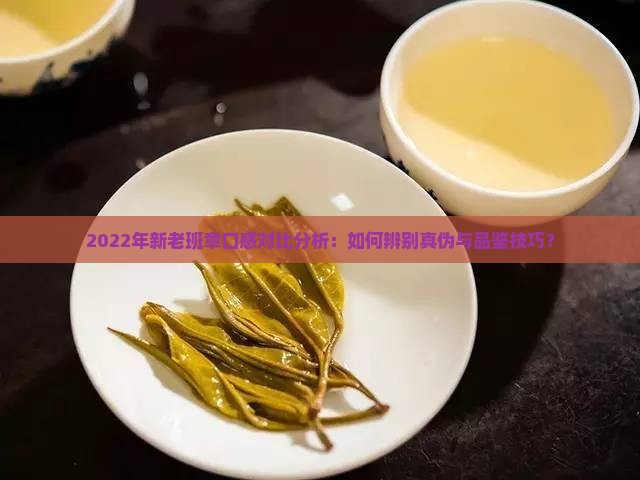2022年新老班章口感对比分析：如何辨别真伪与品鉴技巧？