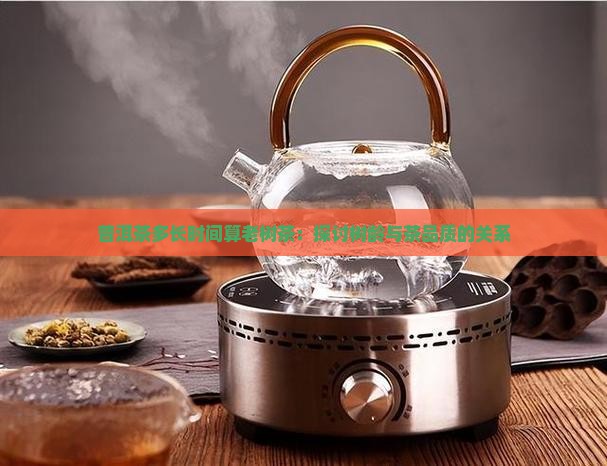 普洱茶多长时间算老树茶：探讨树龄与茶品质的关系