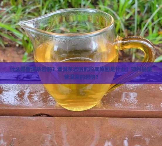 什么是普洱茶岩韵？普洱茶岩韵的形成原因是什么？如何品鉴普洱茶的岩韵？