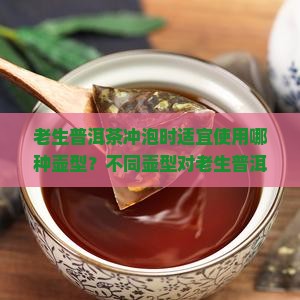 老生普洱茶冲泡时适宜使用哪种壶型？不同壶型对老生普洱茶口感有何影响？