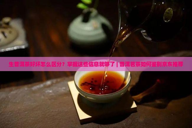 生普洱茶好坏怎么区分？掌握这些信息就够了 | 普洱茗茶如何鉴别京东推荐