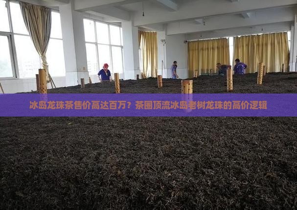 冰岛龙珠茶售价高达百万？茶圈顶流冰岛老树龙珠的高价逻辑