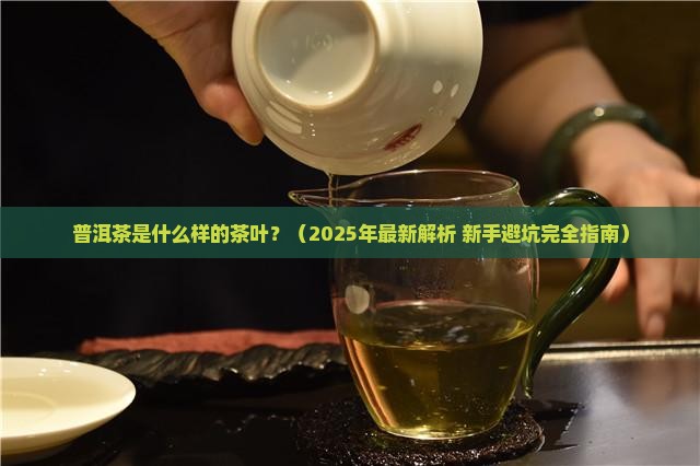 普洱茶是什么样的茶叶