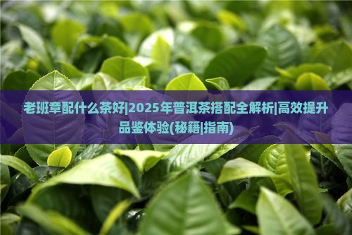 老班章配什么茶好