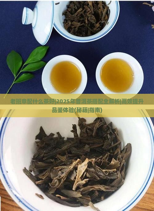 老班章配什么茶好