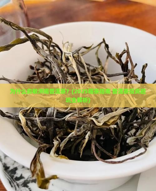 俞敏洪喝普洱茶