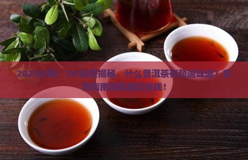 什么普洱茶有劲道的味道