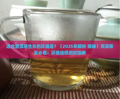 适合普洱茶生长的环境是