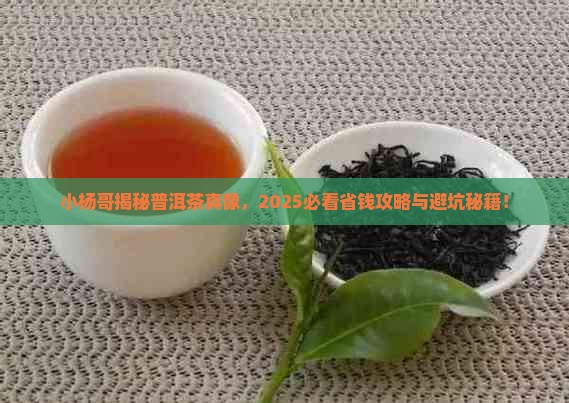 小杨哥说普洱茶 小杨哥说普洱茶