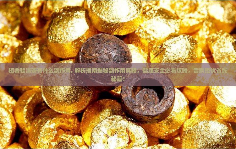 植奢轻清茶有什么副作用