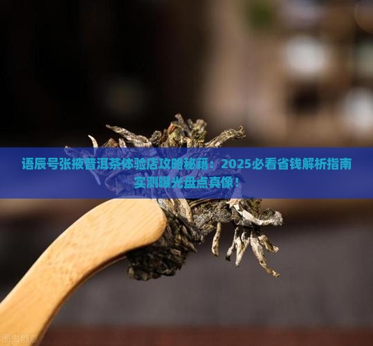 语辰号张掖普洱茶体验店