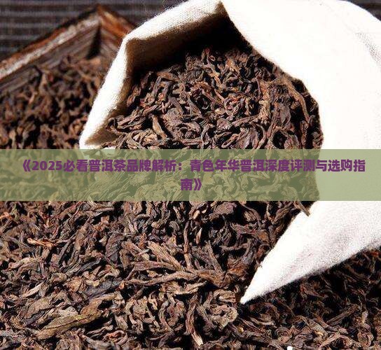 青色年华普洱茶