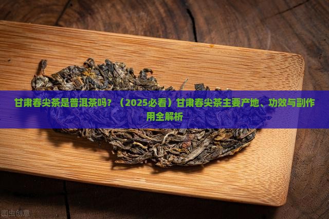 甘肃春尖茶是普洱茶