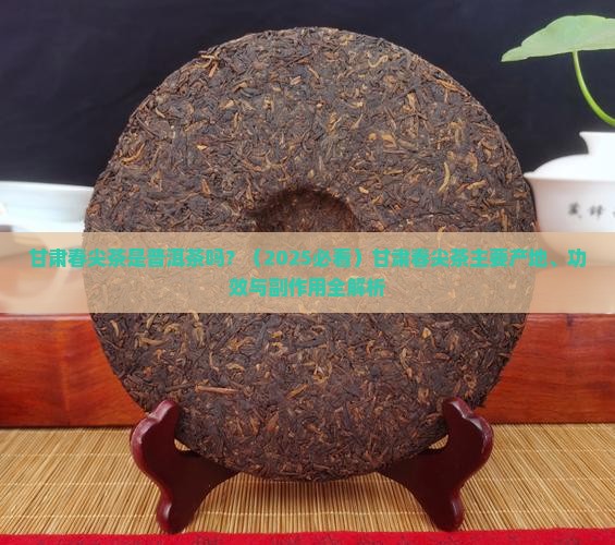 甘肃春尖茶是普洱茶