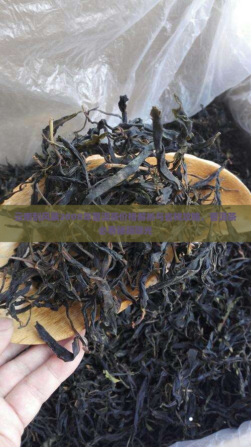 云南刮风寨2008年普洱茶