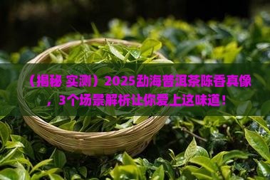 勐海普洱茶陈香