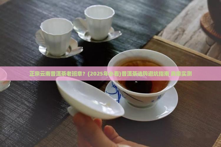 正宗云南普洱茶老班章
