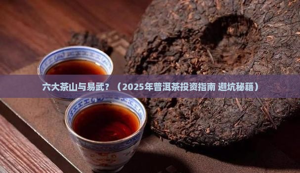 六大茶山与易武