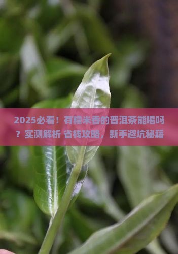 有糯米香的普洱茶能喝吗