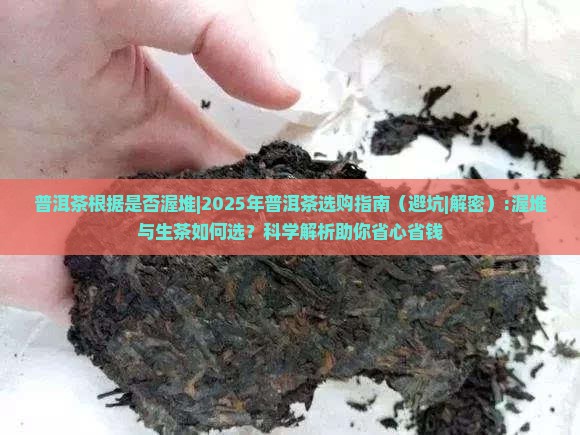 普洱茶根据是否渥堆
