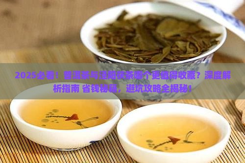 普洱茶与泾阳茯茶比哪个好