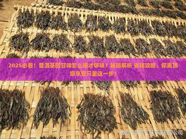 普洱茶怎么喝有回甘味呢 普洱茶怎么喝有回甘味呢