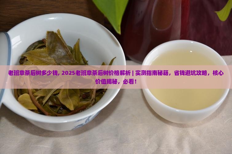 老班章茶后树多少钱