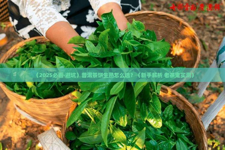 普洱茶饼生熟之分