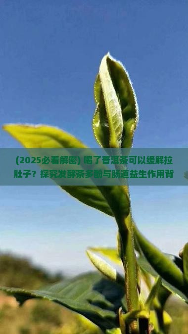 喝了普洱茶可以治拉肚子吗