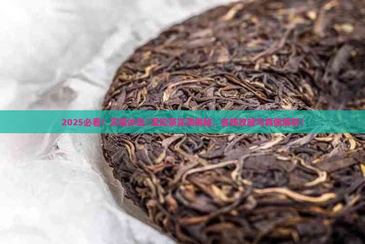 天福冰岛潽洱坨茶