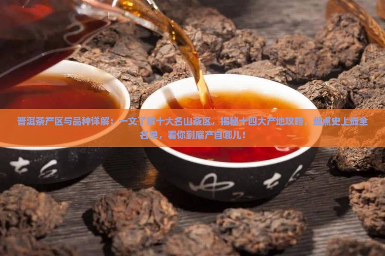 普洱茶产区和品种