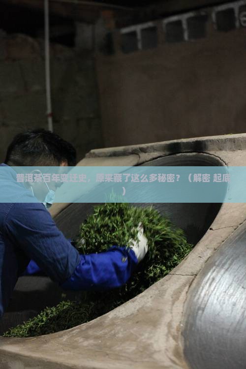 普洱茶近百年的历史