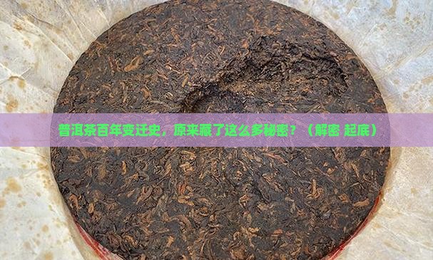 普洱茶近百年的历史