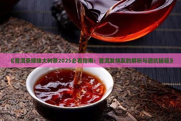 普洱茶嫁接大树茶