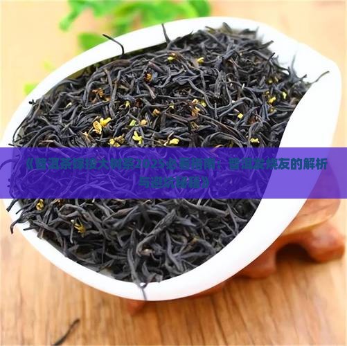 普洱茶嫁接大树茶
