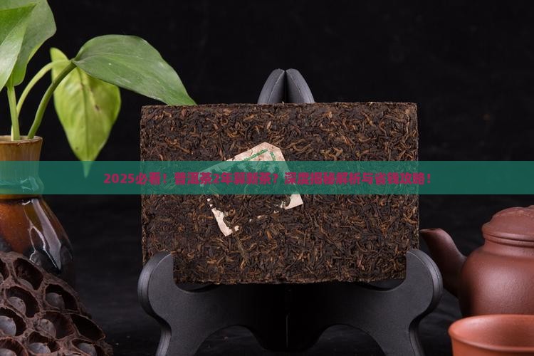 普洱茶2年是新茶吗为什么