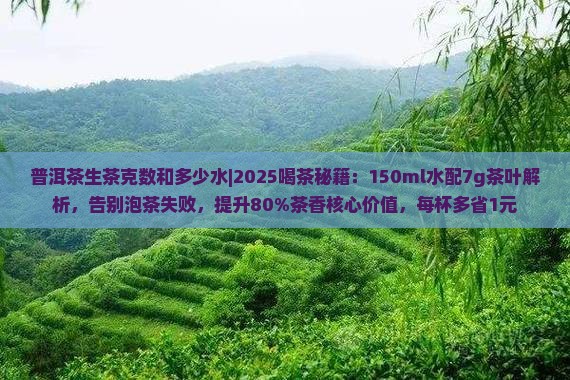 普洱茶生茶克数和多少水