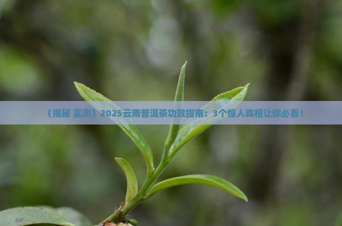 浅谈云南普洱茶功效