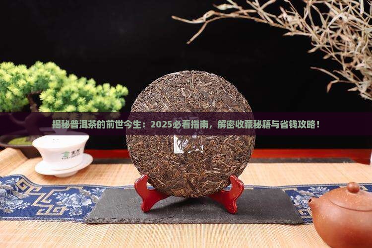 什么是普洱茶的前世今生