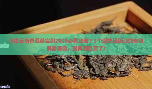 张生云南普洱茶
