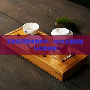 沉香普洱茶中的木头 沉香普洱茶中的木头