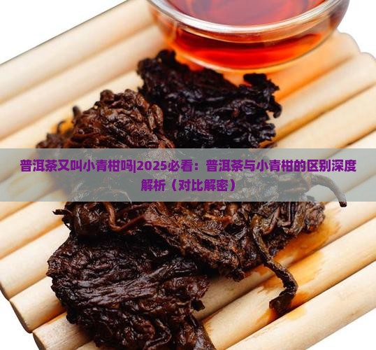 普洱茶又叫小青柑吗