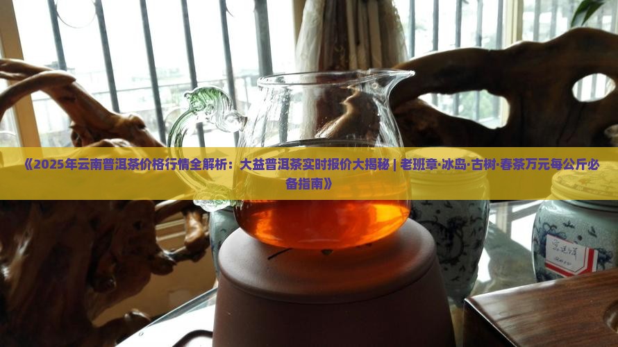 今年普洱茶价格