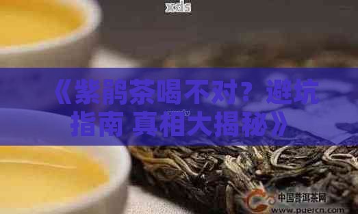 有关紫鹃茶的问题