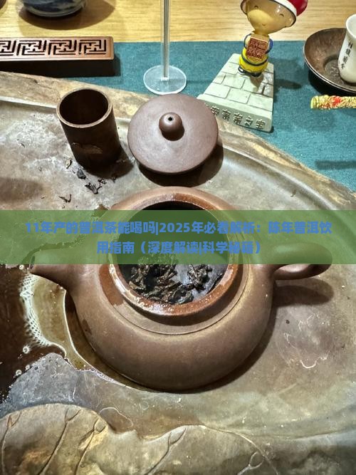 11年产的普洱茶能喝吗